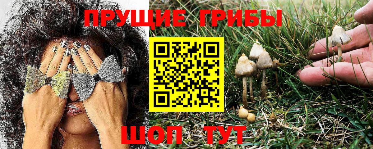 Клинцы  Галлюциногенные грибы MAGIC MUSHROOMS  Галлюциногенные грибы мухоморы  Вход с VPN 