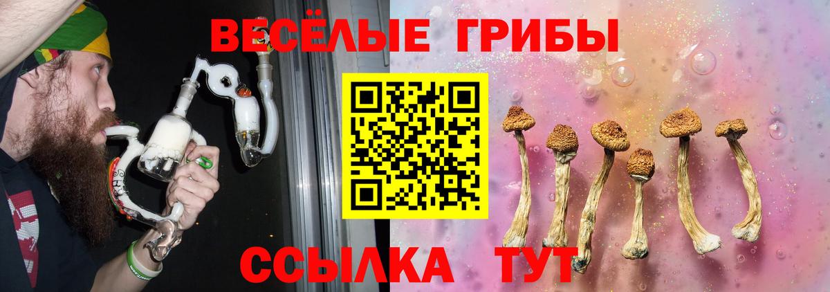 Псилоцибиновые грибы Psilocybe Клинцы