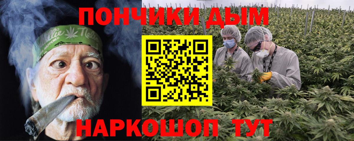 Конопля семена Клинцы